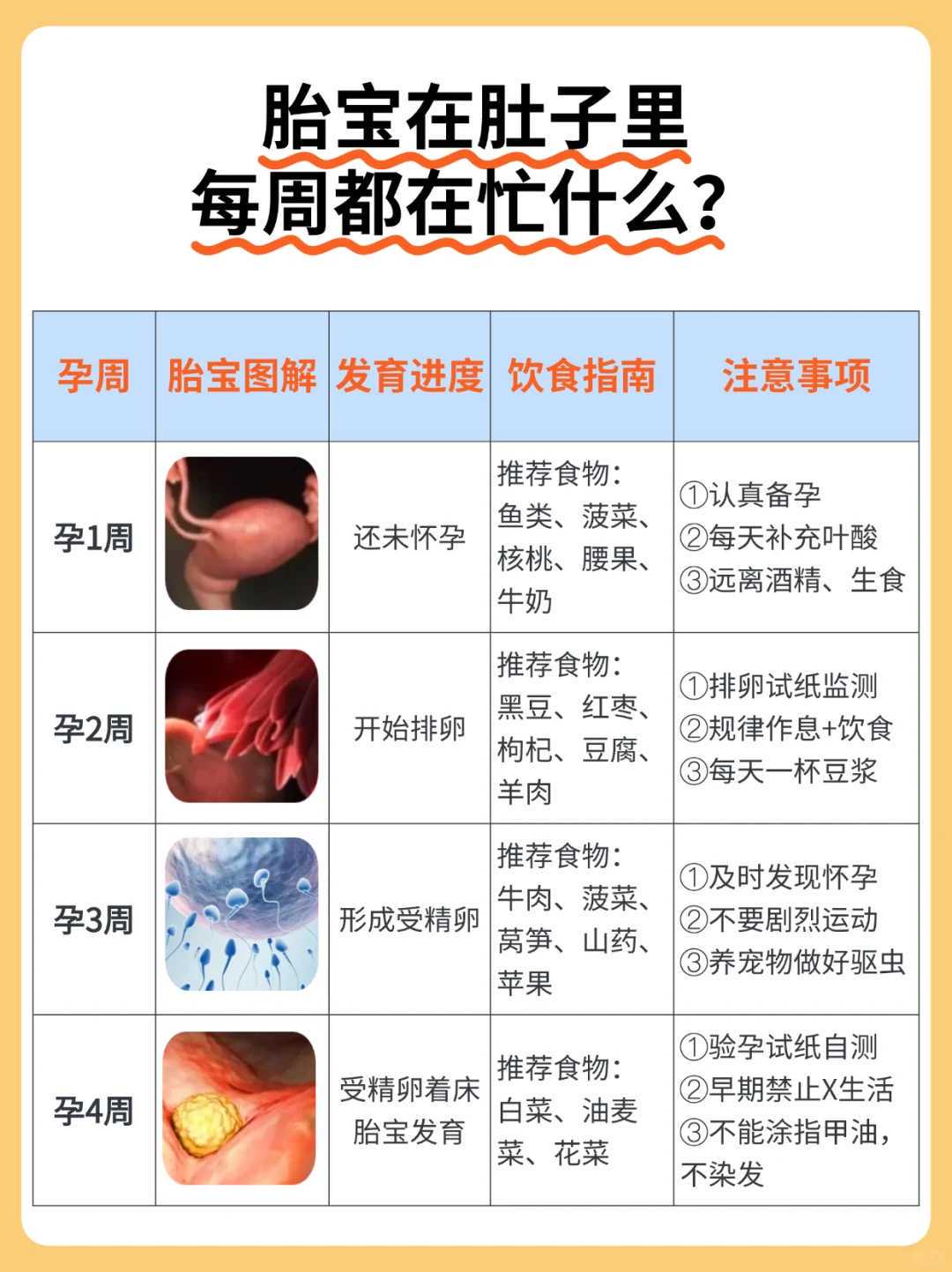 辅助生殖试管婴儿